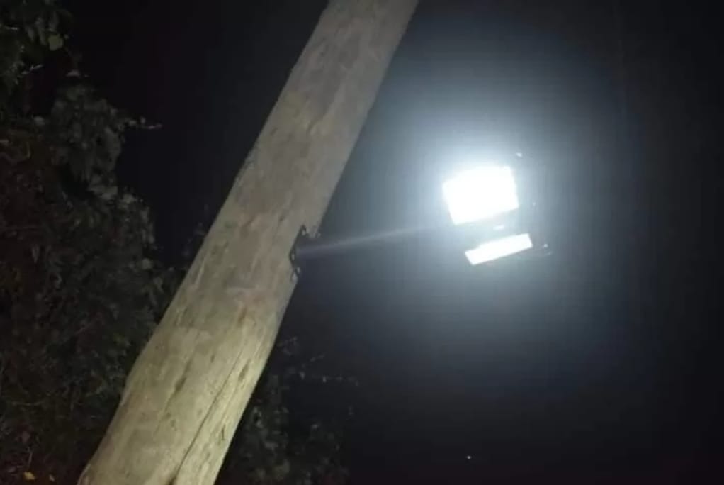 Solar Street Light photo 4